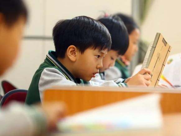 多地官宣！启动小学暑假托管班！