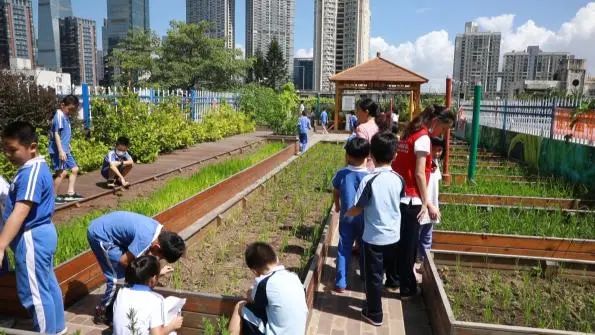 直击福田“官方带娃”第一周！孩子们：像在度假