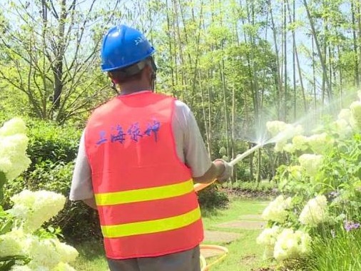 花博文化园7月下旬向游客开放，高温下花儿一天“洗澡”两次 