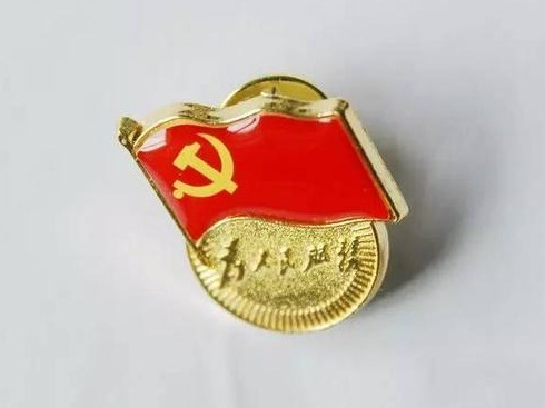 林洁到桥东社区人大代表联络站讲党课  