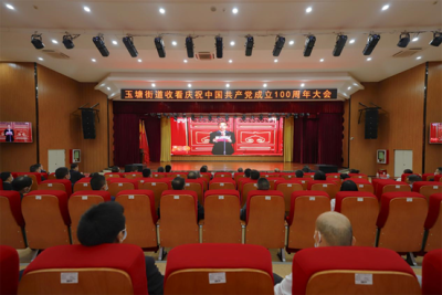 玉塘党员集中观看庆祝中国共产党成立100周年大会直播  