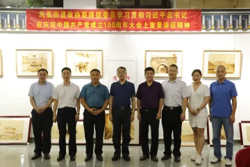 凤凰街道政协联络组学习贯彻习近平总书记在庆祝中国共产党成立100周年大会上的重要讲话精神