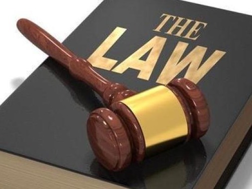 媒体聚焦高考填报法学专业热度：人才需求量大，院校铆劲创新