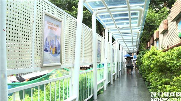 学史力行办实事 | 罗湖各街道花式“出招”推进文明城市创建长效化