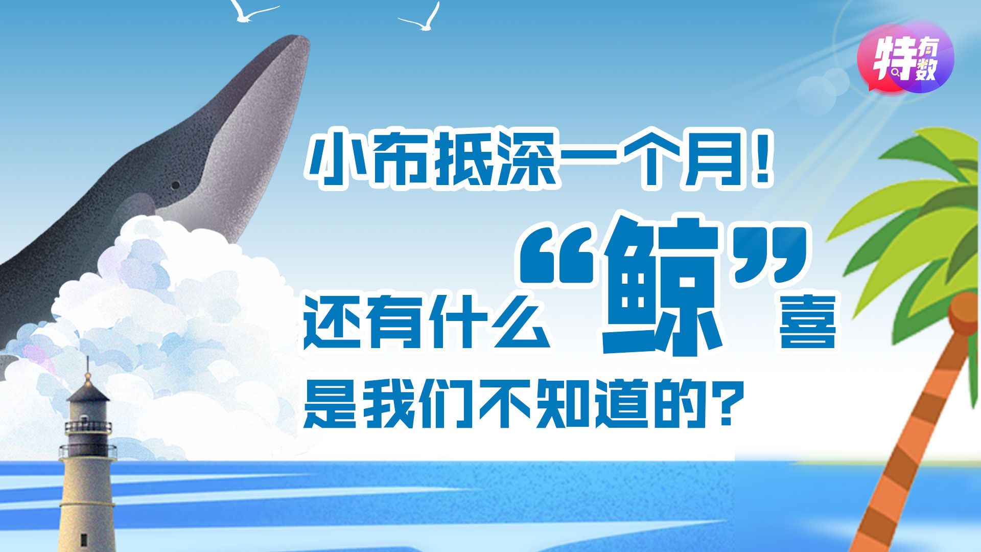 特有数 | 小布抵深一个月！还有什么“鲸”喜是我们不知道的？