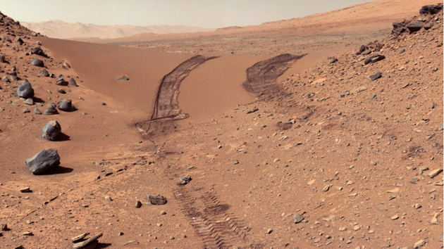 人类会将地球生命带上火星吗？