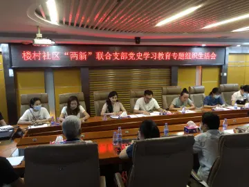 新湖街道楼村社区“两新”联合党支部 召开党史学习教育专题组织生活会          