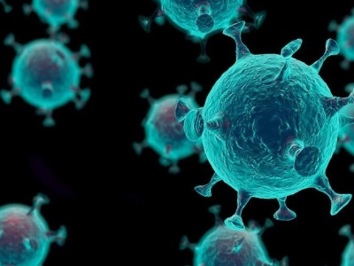 新研究显示：新冠康复者可在12个月内持续对抗新冠病毒感染