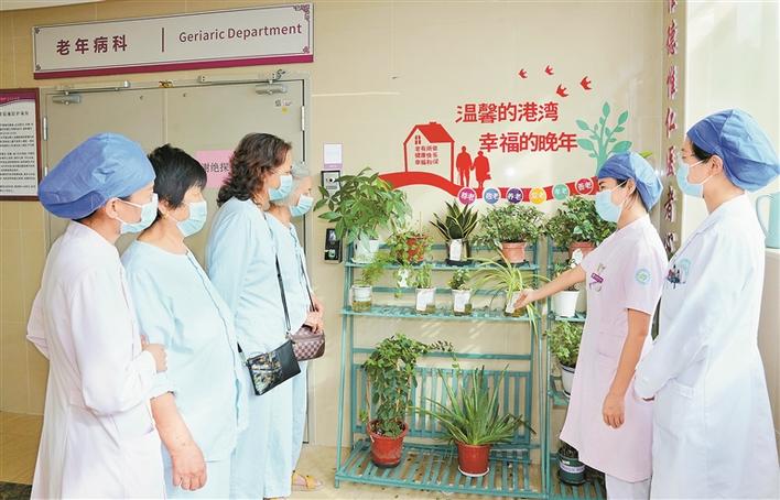 罗湖中医院老年病科“迷你草药园”让患者感受生命活力