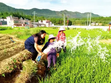优秀共产党员许燕华：到祖国最需要的地方去