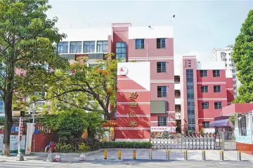 光明区马田小学：带动师生“万马奔腾” 打造品牌特色鲜明