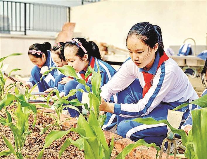 光明区新一批儿童友好实践基地申报中