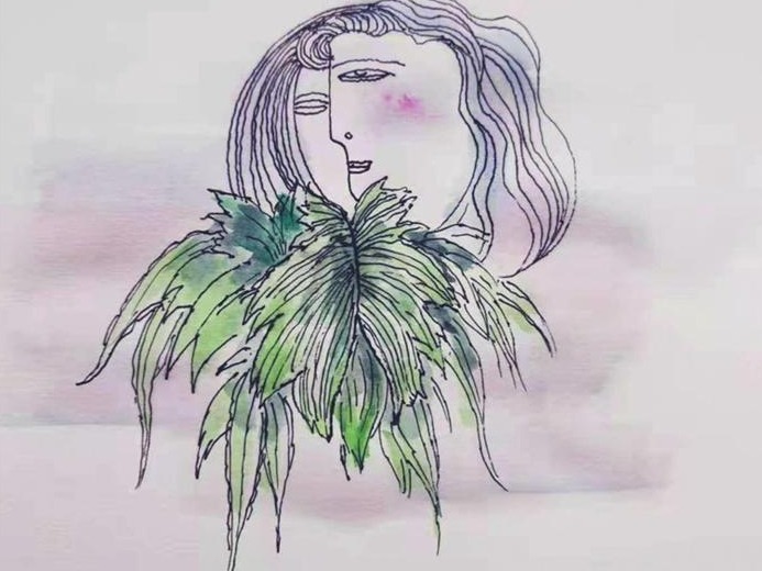 一场与双扇蕨的狭路相逢