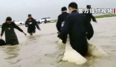 山洪致1000多只羊被困 民警蹚水救援