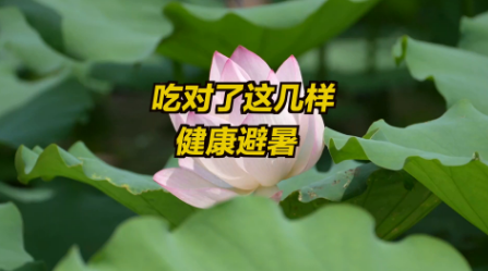 小暑将至 中医建议冰饮含一会儿再咽