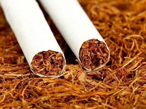 名校毕业生争当卷烟工，是大材小用吗？