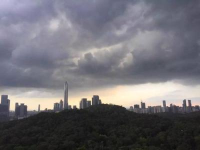 深圳发布台风白色预警，未来两日将有暴雨和7-8级阵风