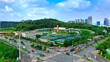 ​留深过个快乐暑假 光明区体育中心1000个公益培训名额等你来抢