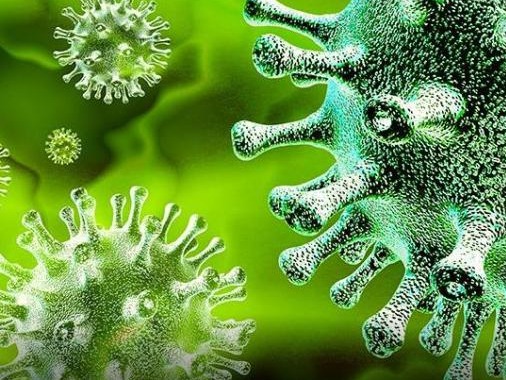 多国科学家联名撰文驳斥新冠病毒“实验室起源论”