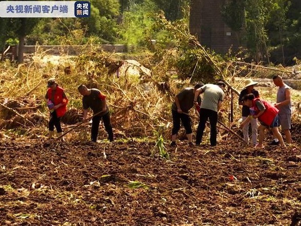 每亩补助50元，河南正全力开展因灾绝收地块改种补种