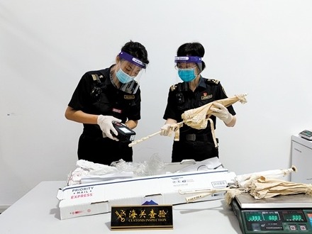 江门海关查获两宗涉嫌走私象牙案件