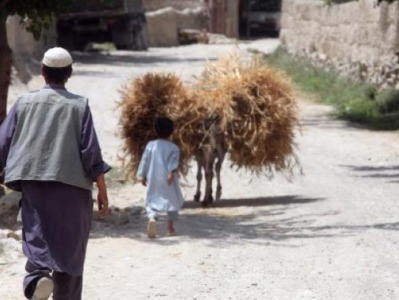 世界粮食计划署：1400万阿富汗人面临严重饥饿