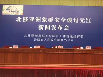 投食180吨 疏散转移15万人次，“追象”数据来了！