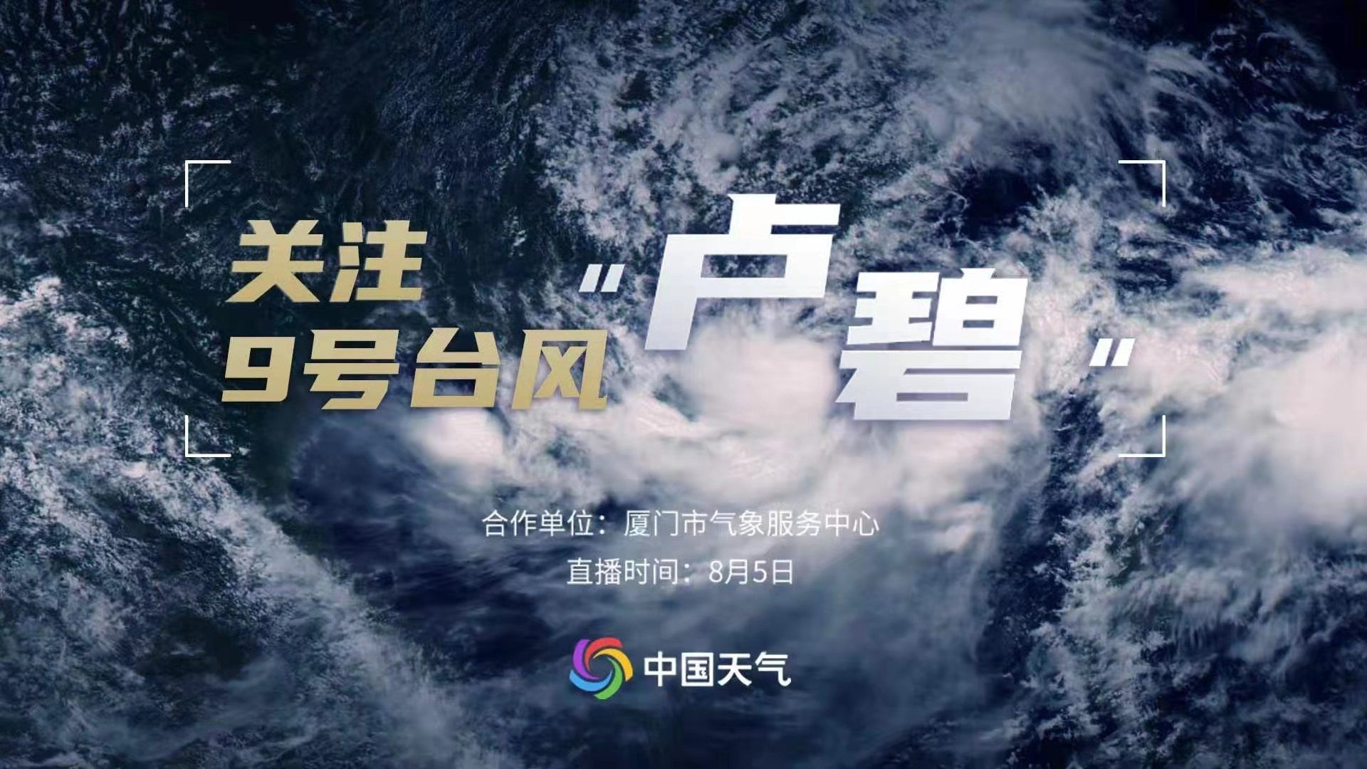 直播 | 关注台风“卢碧”！今天已在汕头南澳县沿海登陆