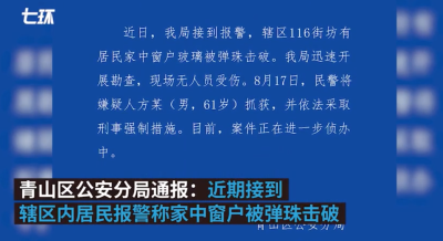 武汉警方通报小区屡遭钢珠袭击：61岁嫌疑人已被抓获