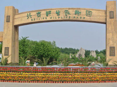 两家游客在北京野生动物园打架，园方通报：当晚动物纷纷效仿