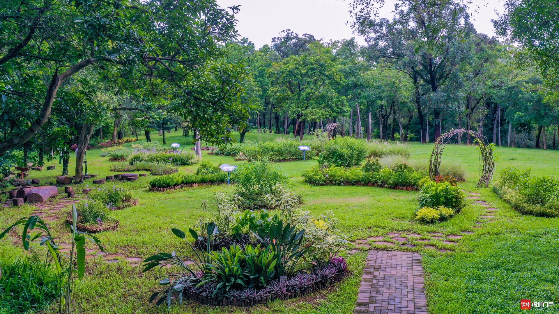笔架山公园趣味植物迷你花园建成 90余种趣味植物等你来发现 