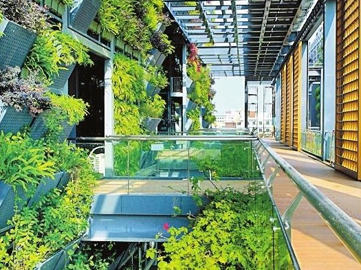 深圳国际低碳城致力打造国家可持续发展低碳先锋示范片区山环水润、低碳发展  