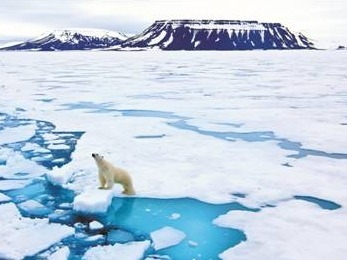 报告：地球温度12万年来最高 降温行动刻不容缓