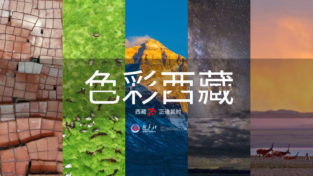 全球连线 | 色彩西藏