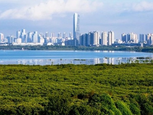最高奖金10000元！2021年深圳技能大赛开始报名啦!