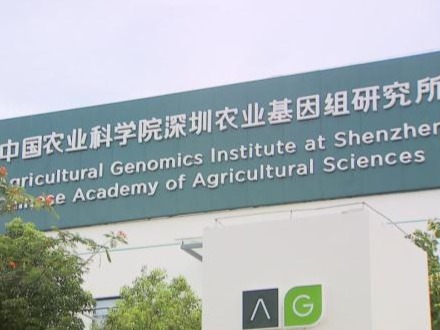 市政协委员走访中国农科院深圳农业基因组研究所，推动解决种业“卡脖子”问题