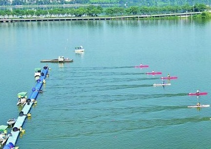 广东省青少年赛艇锦标赛落幕 肇庆赛艇队收获11枚金牌