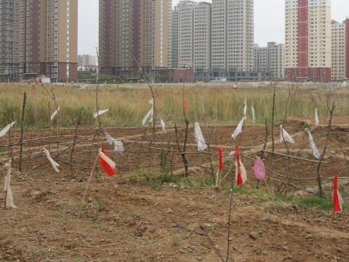 多城第二批集中供地陆续返场：竞买规则调整紧扣“稳房价”