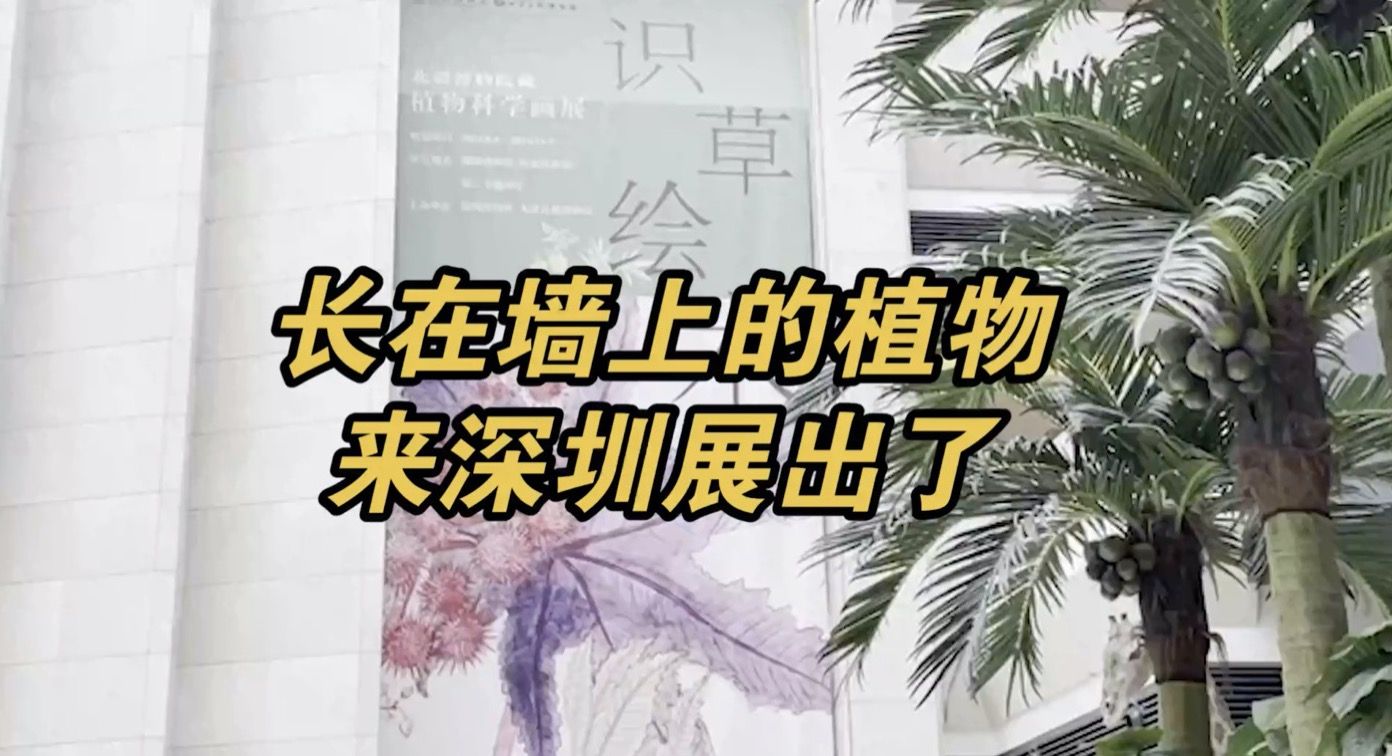 到深圳博物馆看植物科学画展