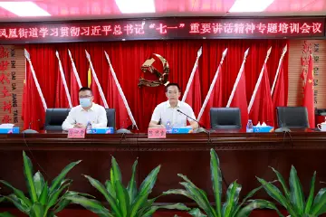 全面建设光明区“城市会客厅”和“企业总部区” 凤凰街道举办年度党史培训活动