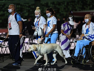 东京残奥会开幕式温暖一幕！导盲犬助力残奥运动员入场