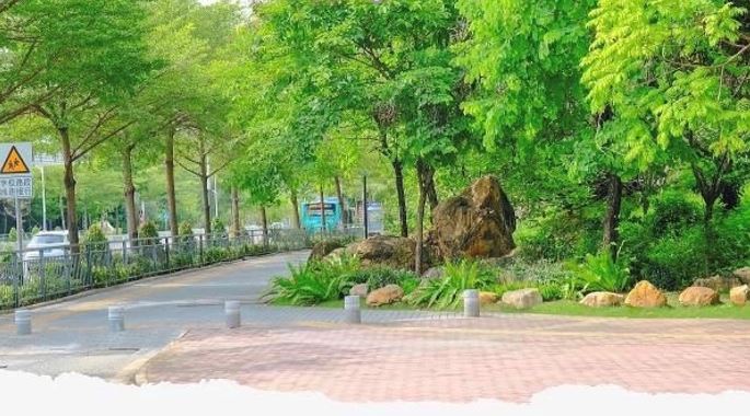 繁花似锦！龙岗精选20个节点打造特色花园路口