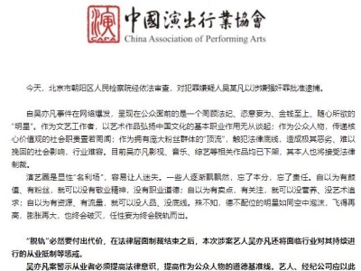 中国演出行业协会评“吴亦凡被批捕”：警示从业者必须提高作为公众人物的道德基准线