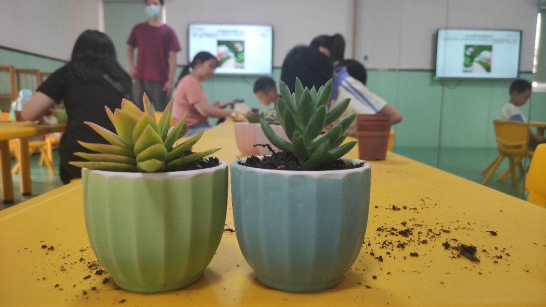 抓住暑假的尾巴！福田社区为青少年开展多样文化活动 