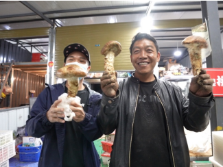 拼多多第三届“农货节”正式启动，助力农货品牌升级