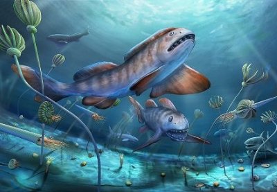 中国首次发现2.9亿年前史前巨鲨：瓣齿鲨，为顶级掠食者