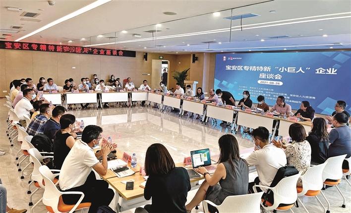 宝安举办第二场专精特新“小巨人”企业座谈会  