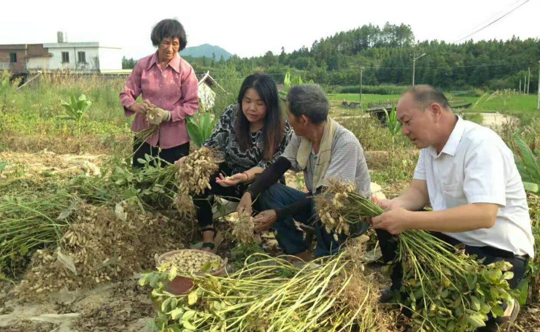 两优一先｜最美驻村干部的“小确幸”