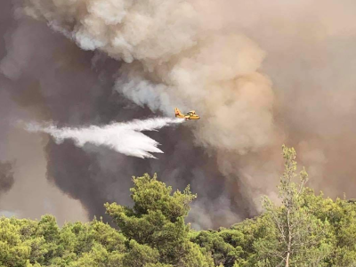 全球山火最严重的7月，气候变化为背后推手？