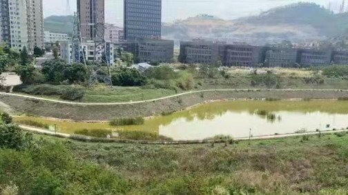 前沿调研 | 优质产业来深“一定有地可落”